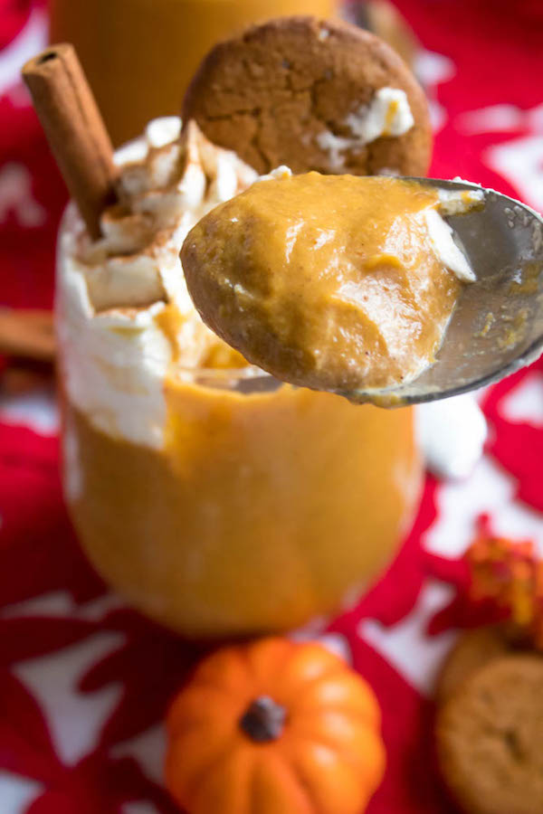This Homemade Pumpkin Pudding is smooth, creamy and full of pumpkin flavour. Serve it with a dollop of whipped cream and a gingersnap cookie and this makes for a perfect fall dessert!