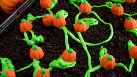 The Pumpkin Patch - A Halloween Adventure Treat!! Mac OS The Pumpkin Patch - A Halloween Adventure Treat!! Mac OS