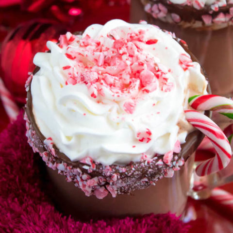 This Candy Cane Hot Chocolate is a warm and cozy Holiday drink perfect for warming up to the cold weather. With a candy cane lined rim, peppermint hot chocolate filled with crushed candy canes, and a peppermint whipped cream topping, this drink screams Christmas!