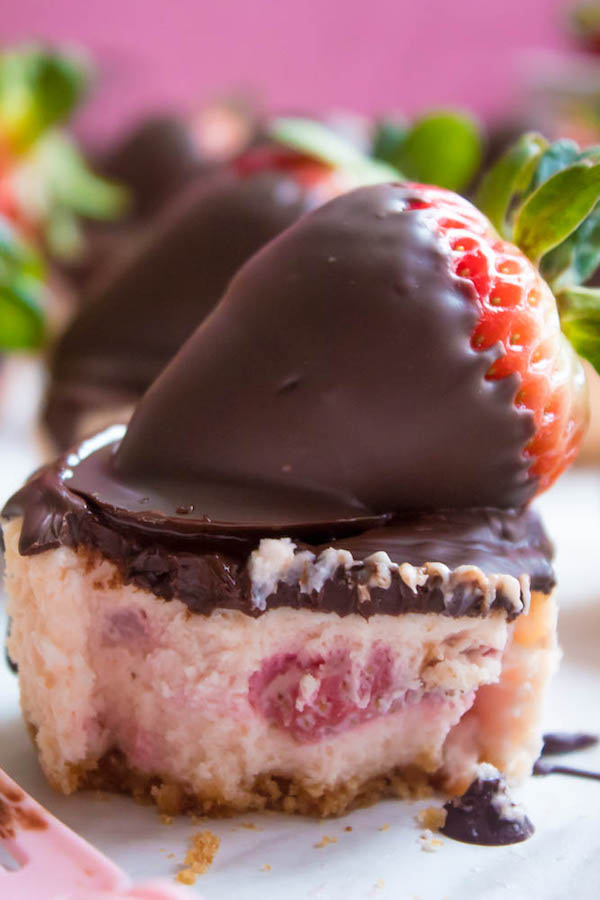 These Mini Chocolate Covered Strawberry Cheesecakes are made with a creamy bite-sized strawberry cheesecake and juicy chocolate covered strawberries. These are the perfect treats to finish off a romantic Valentine's Day dinner!