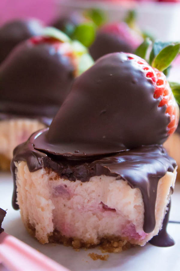 These Mini Chocolate Covered Strawberry Cheesecakes are made with a creamy bite-sized strawberry cheesecake and juicy chocolate covered strawberries. These are the perfect treats to finish off a romantic Valentine's Day dinner!