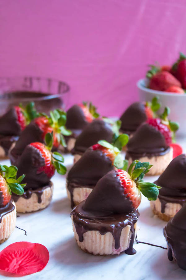 These Mini Chocolate Covered Strawberry Cheesecakes are made with a creamy bite-sized strawberry cheesecake and juicy chocolate covered strawberries. These are the perfect treats to finish off a romantic Valentine's Day dinner!