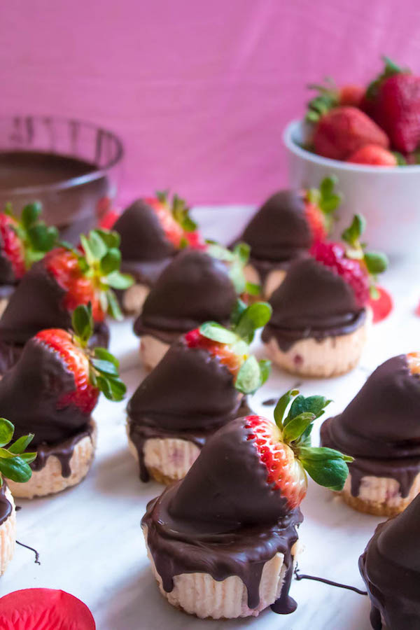 These Mini Chocolate Covered Strawberry Cheesecakes are made with a creamy bite-sized strawberry cheesecake and juicy chocolate covered strawberries. These are the perfect treats to finish off a romantic Valentine's Day dinner!