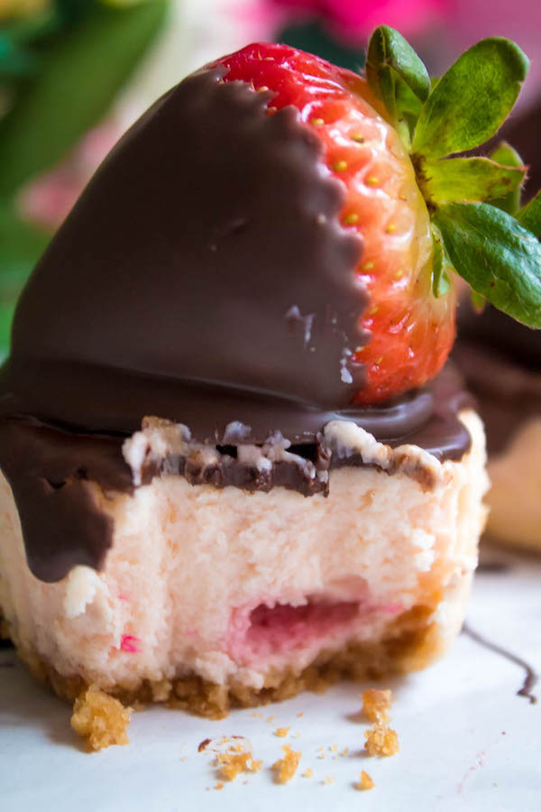 These Mini Chocolate Covered Strawberry Cheesecakes are made with a creamy bite-sized strawberry cheesecake and juicy chocolate covered strawberries. These are the perfect treats to finish off a romantic Valentine's Day dinner!