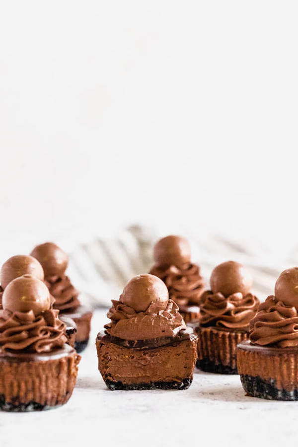 mini chocolate cheesecakes made with an Oreo crust and topped with dark chocolate ganache, chocolate whipped cream and chocolate truffles.