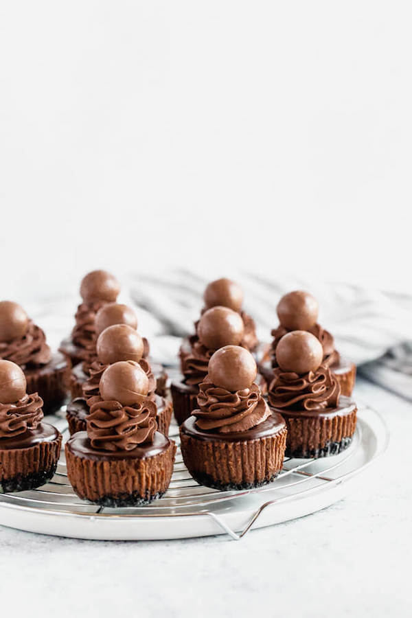 mini chocolate cheesecakes made with an Oreo crust and topped with dark chocolate ganache, chocolate whipped cream and chocolate truffles.