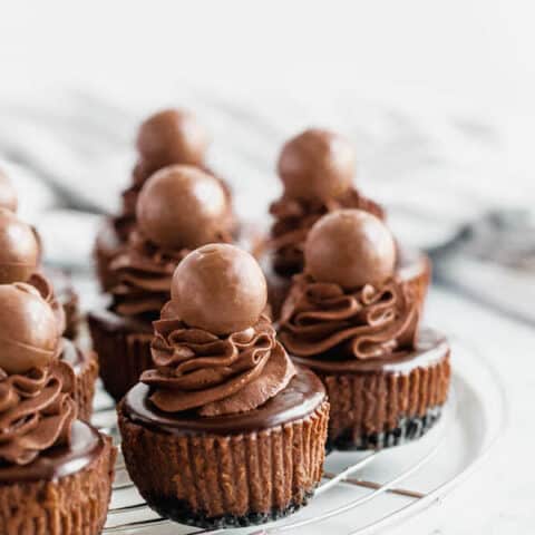 Mini Triple Chocolate Cheesecakes