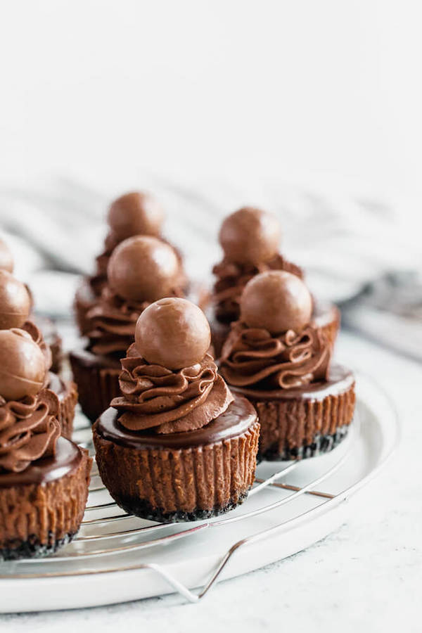 mini chocolate cheesecakes made with an Oreo crust and topped with dark chocolate ganache, chocolate whipped cream and chocolate truffles