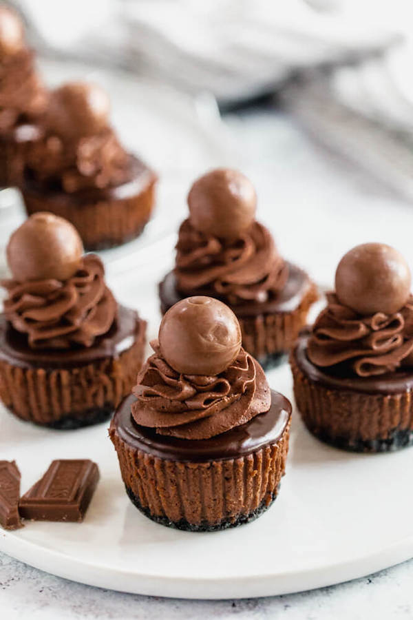 mini chocolate cheesecakes made with an Oreo crust and topped with dark chocolate ganache, chocolate whipped cream and chocolate truffles.