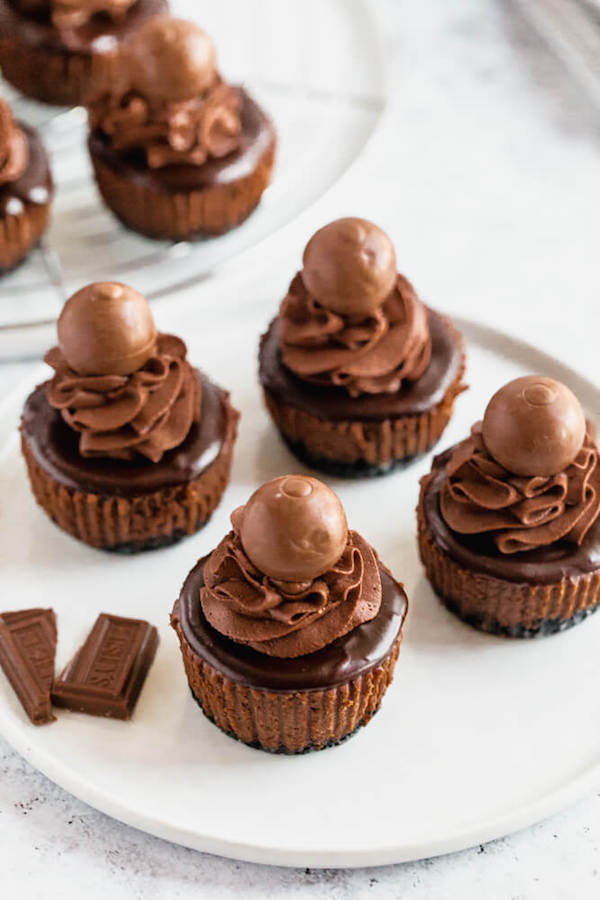 mini chocolate cheesecakes made with an Oreo crust and topped with dark chocolate ganache, chocolate whipped cream and chocolate truffles.