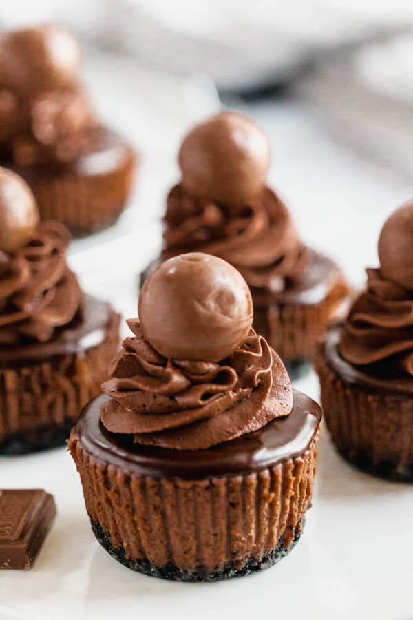 mini chocolate cheesecakes made with an Oreo crust and topped with dark chocolate ganache, chocolate whipped cream and chocolate truffles.