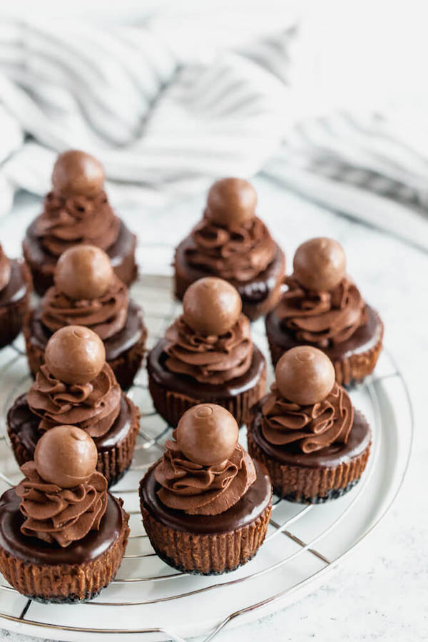 mini chocolate cheesecakes made with an Oreo crust and topped with dark chocolate ganache, chocolate whipped cream and chocolate truffles.