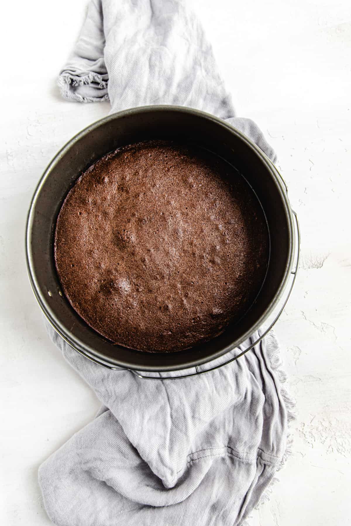 baked brownie in a springform pan