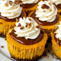 Mini Pumpkin Cheesecakes with Cream Cheese Whipped Cream