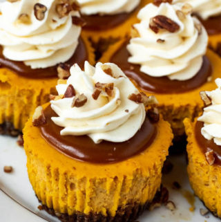 Mini Pumpkin Cheesecakes with Cream Cheese Whipped Cream