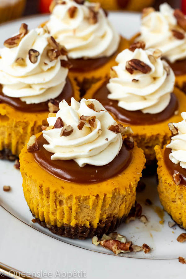 Mini Pumpkin Cheesecakes with Cream Cheese Whipped Cream Recipe
