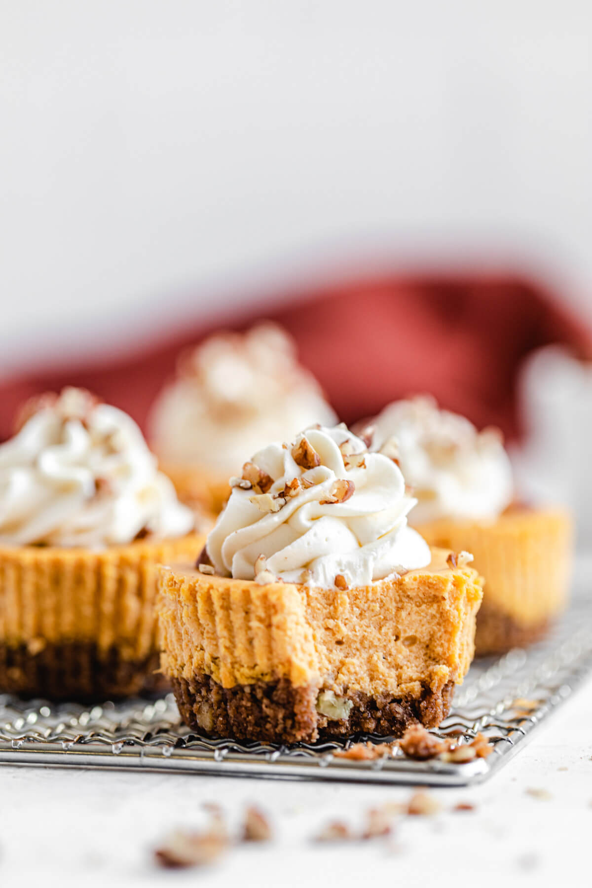 pumpkin flavoured cheesecakes on safety grater