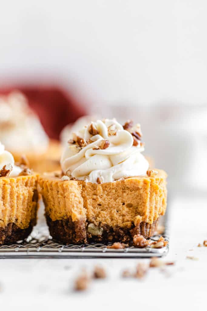 Mini Pumpkin Cheesecakes with Cream Cheese Whipped Cream Recipe