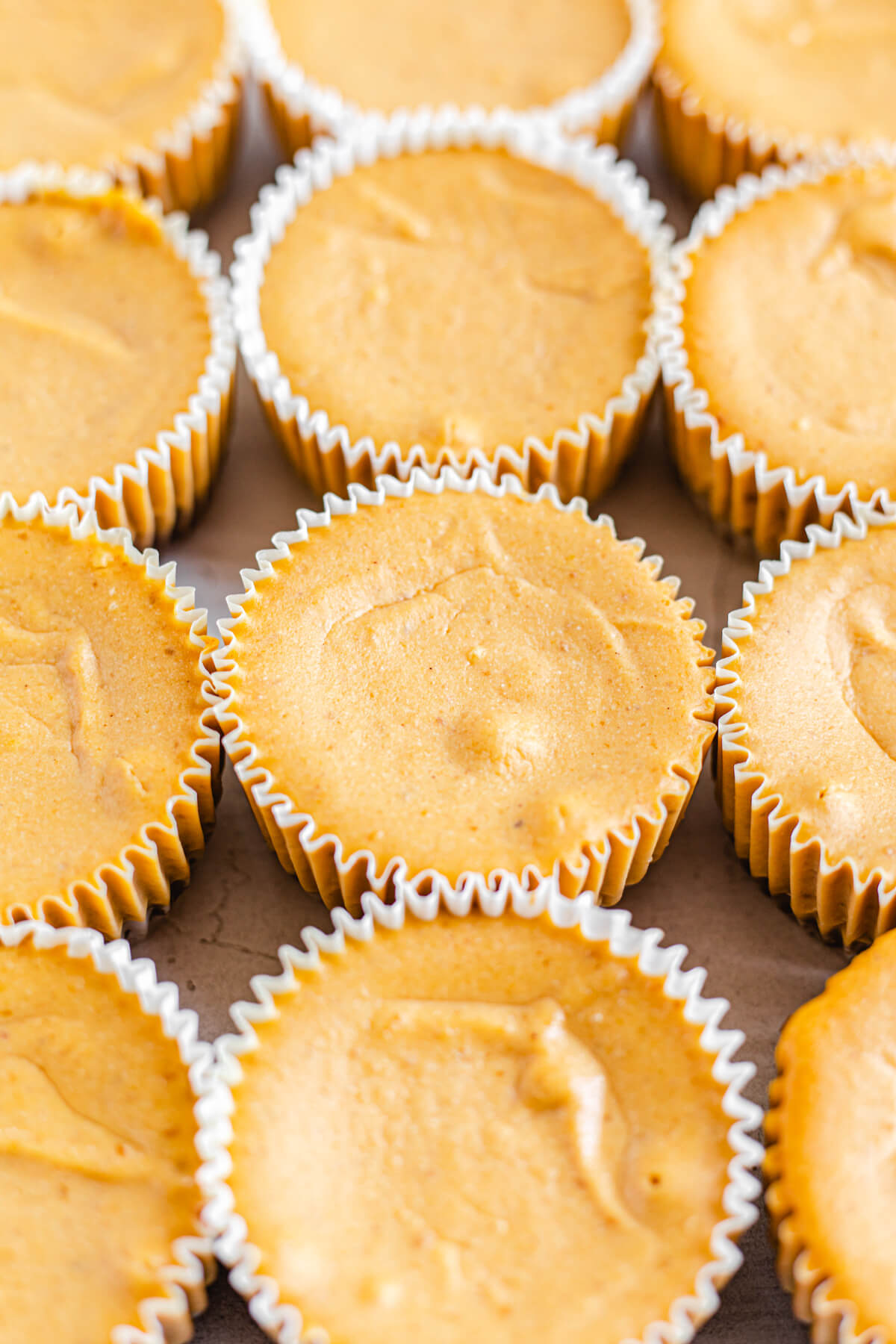 close up rows of plain mini cheesecakes