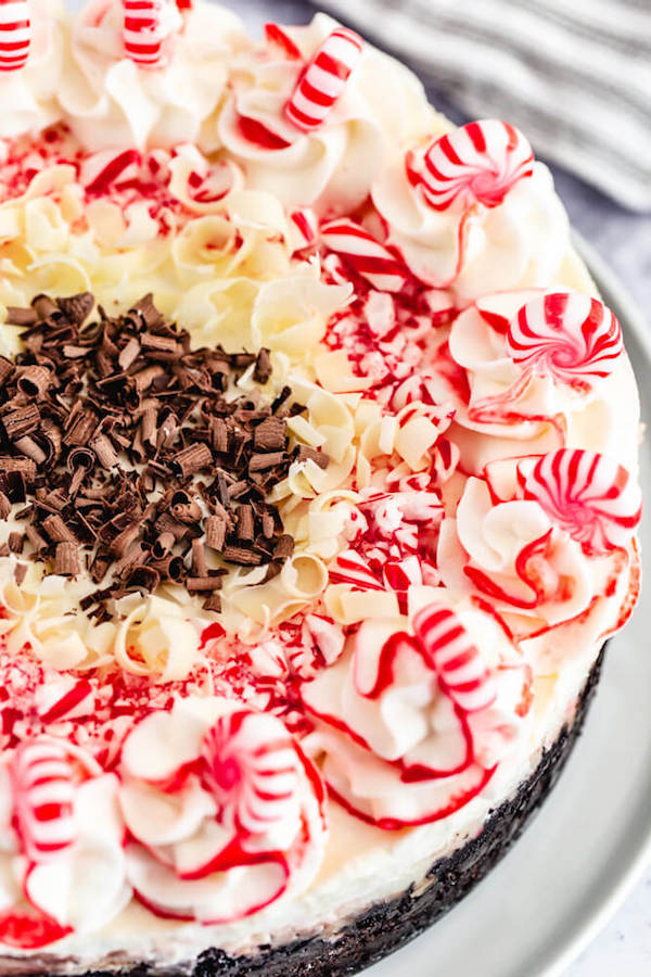 close up view of top of candy cane and chocolate cheesecake