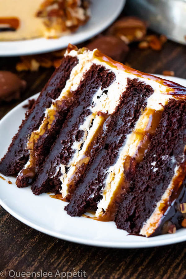 This Turtle Chocolate Layer Cake starts with rich, decadent and moist chocolate cake layers that are filled with a caramel pecan sauce and covered in a smooth caramel frosting, then finished off with a caramel and ganache drip and chopped pecans! 