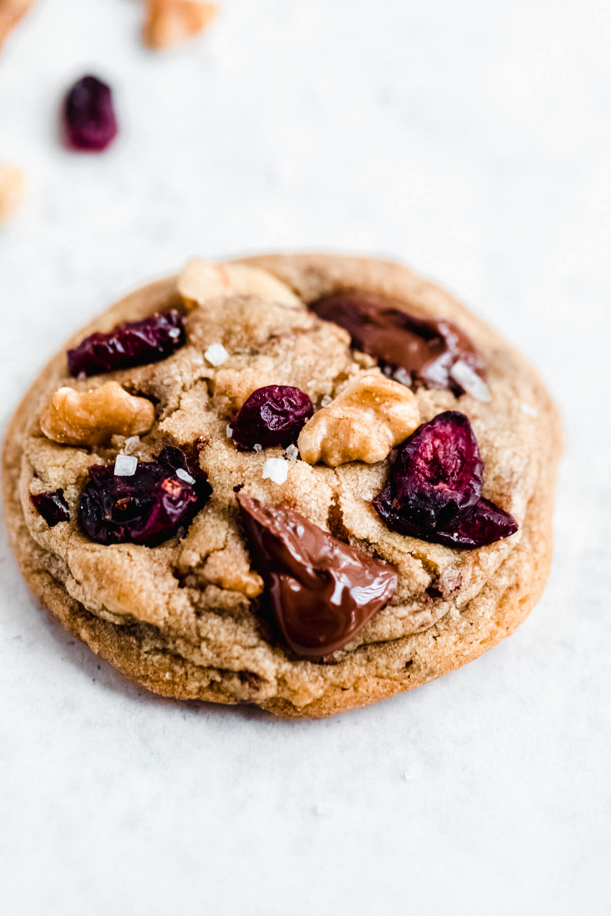 close up of cookie with melted chocolate, dried cranberries and walnuts on top