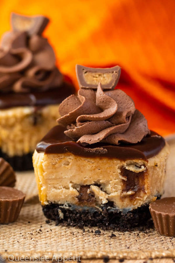 Mini Reese's Peanut Butter Cheesecakes cut in half