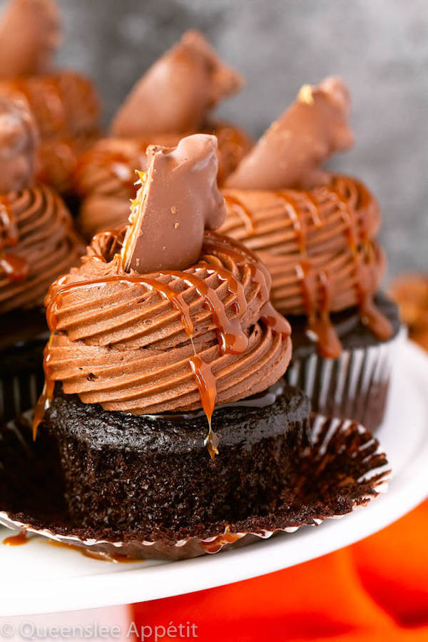 chocolate cupcakes with ganache, chocolate caramel cream cheese frosting, salted caramel and a turtle chocolate on top