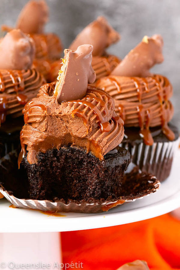 chocolate cupcakes with ganache, chocolate caramel cream cheese frosting, salted caramel and a turtle chocolate on top