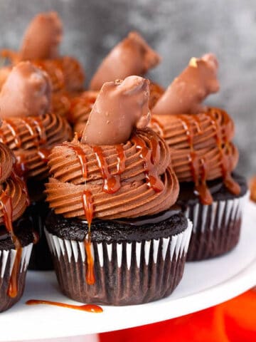 chocolate cupcakes with ganache, chocolate caramel cream cheese frosting, salted caramel and a turtle chocolate on top