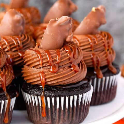 chocolate cupcakes with ganache, chocolate caramel cream cheese frosting, salted caramel and a turtle chocolate on top