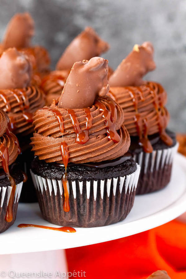 chocolate cupcakes with ganache, chocolate caramel cream cheese frosting, salted caramel and a turtle chocolate on top