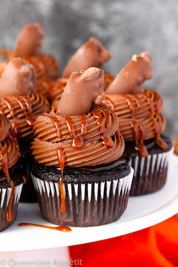 chocolate cupcakes with ganache, chocolate caramel cream cheese frosting, salted caramel and a turtle chocolate on top