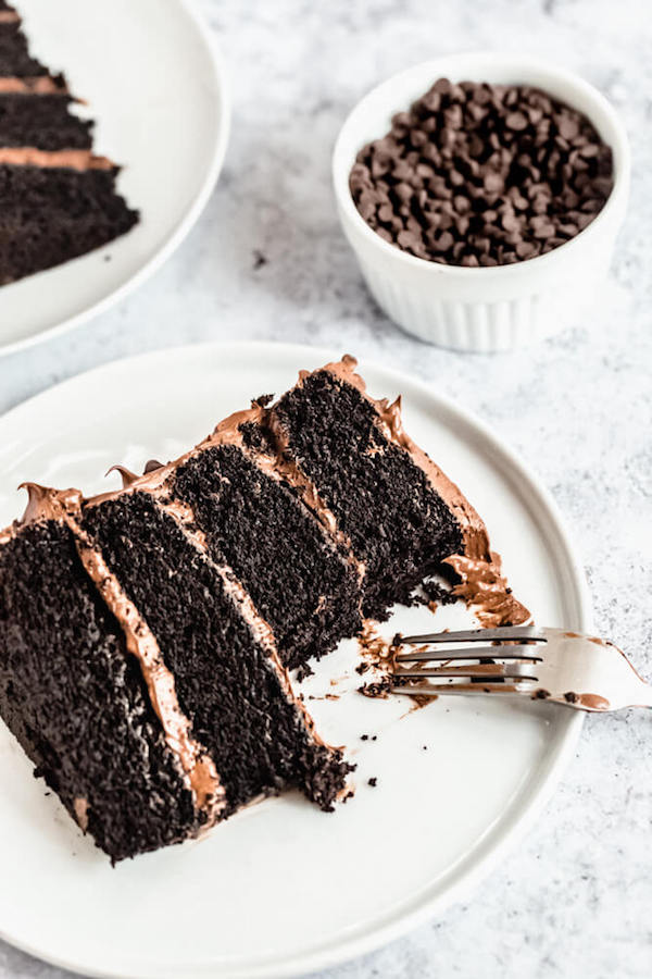 slices of chocolate cake with fudge frosting