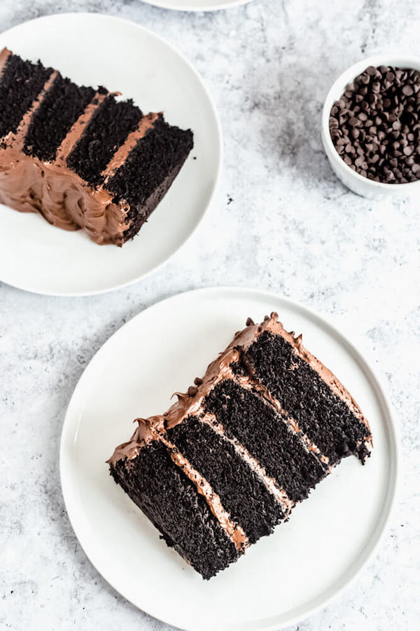 slices of chocolate cake with fudge frosting