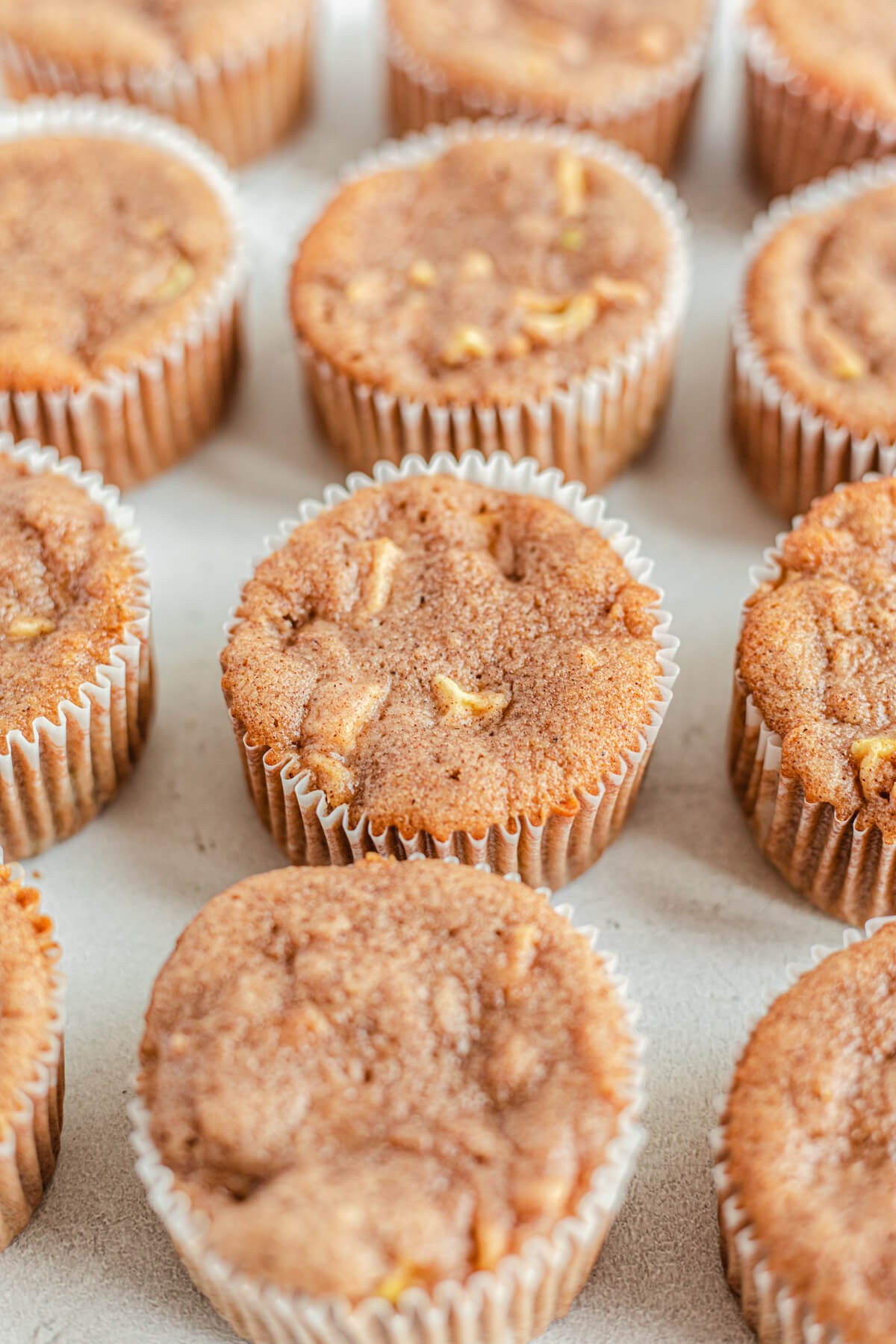 rows of unfrosted apple cupcakes