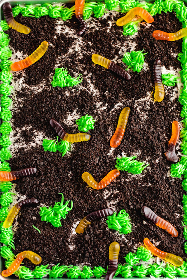 dark chocolate cake filled with chocolate pudding, Oreo crumbs, gummy worms and topped with Oreo cream cheese frosting, green grass buttercream and more Oreo crumbs and gummy worms