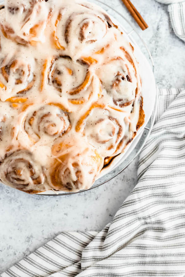 pumpkin cinnamon rolls topped with browned butter cream cheese icing