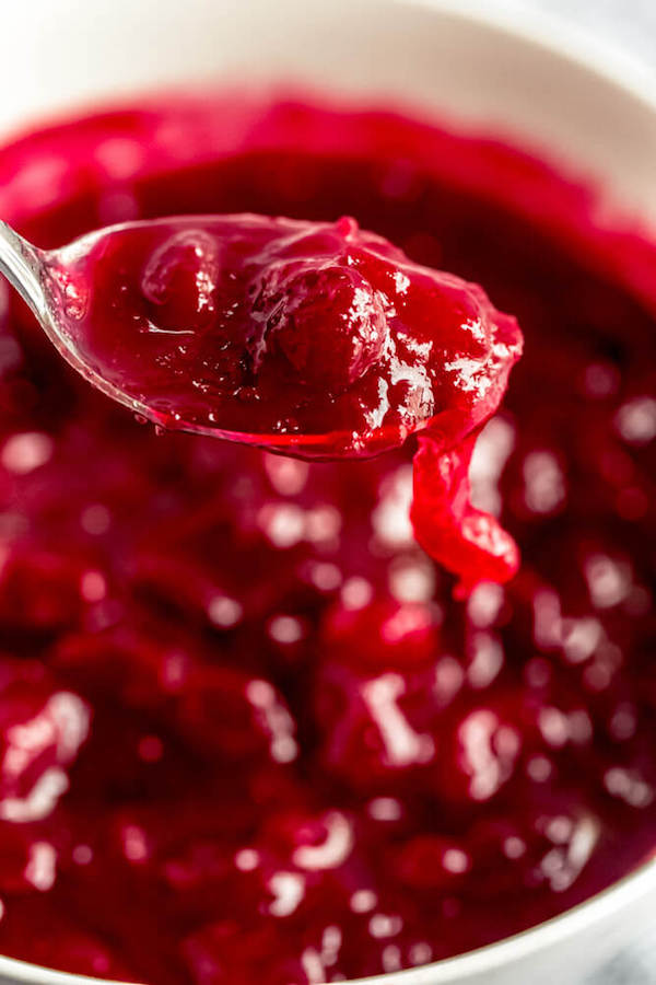 spoonful of fresh cranberry sauce