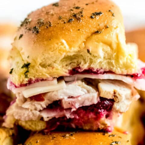 close up of turkey cranberry slider