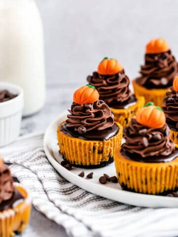 mini pumpkin cheesecakes on a plate that's on a dish towel