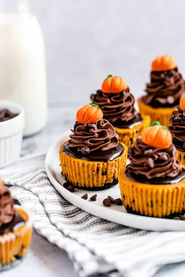 mini pumpkin cheesecakes on a plate that's on a dish towel