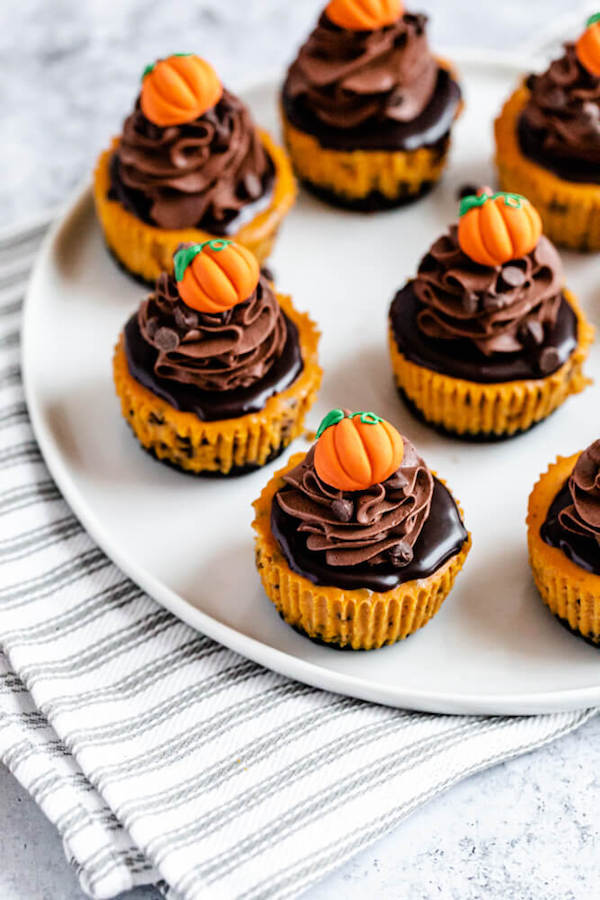 mini pumpkin cheesecakes on a plate that's on a dish towel