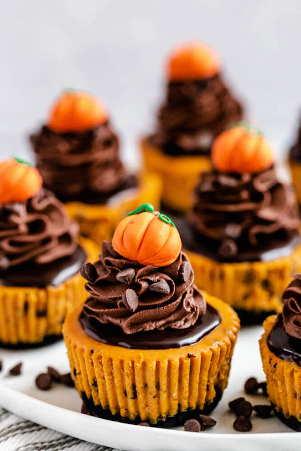 close up of mini pumpkin cheesecakes on a plate 