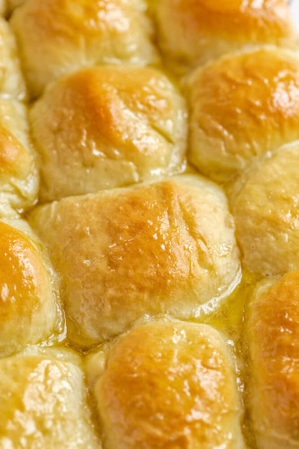 honey butter topped dinner rolls