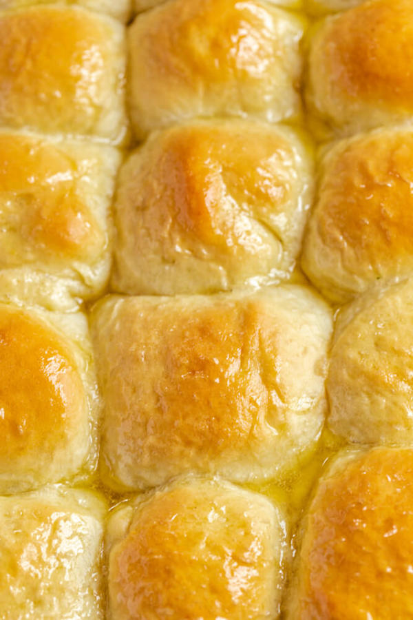 honey butter topped dinner rolls