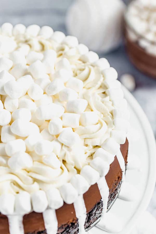 close up of marshmallow topped cheesecake