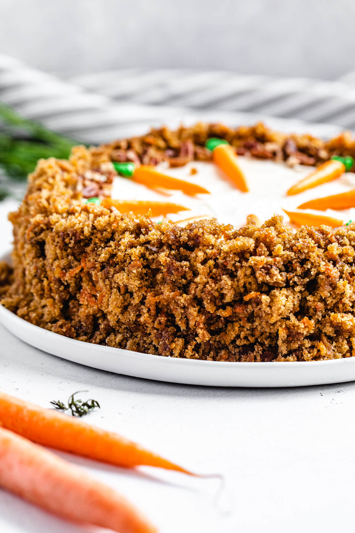 close up of cheesecake covered in cake crumbs