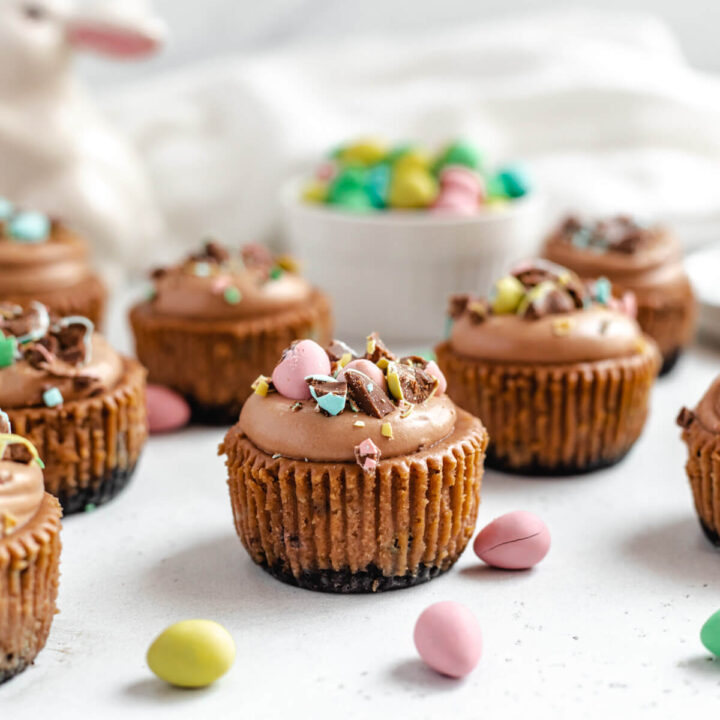 Mini Malted Milk Chocolate Cheesecakes