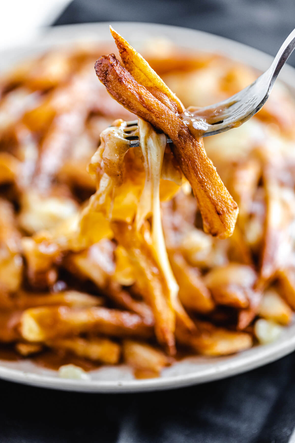 close up of French fries and cheese on a fork